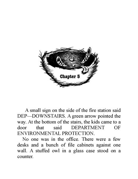 The Falcons Feathers Chapter 5 -- 绘本听读宝在线台词全文
