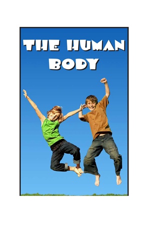 G3-4 27 The Human Body-Mid -- 绘本听读宝在线台词全文