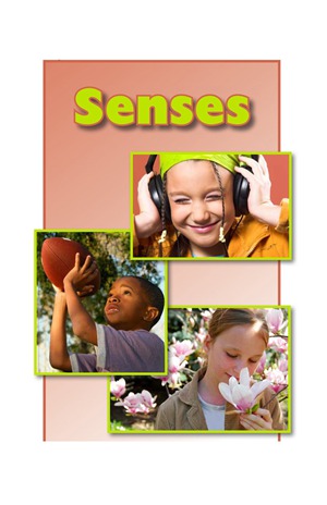 GK-2 27 Senses-High -- 绘本听读宝在线台词全文