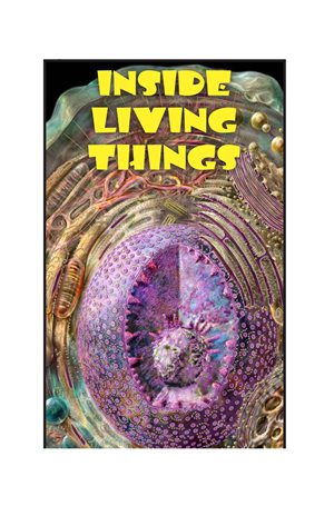 G5-6 25 Inside Living Things-Low -- 绘本听读宝在线台词全文