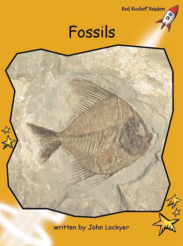 Fluency Level 4 Non-Fiction 4 Fossils -- 绘本听读宝在线台词全文