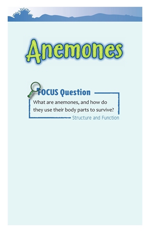 G3-4 13 Anemones-Mid -- 绘本听读宝在线台词全文