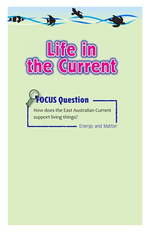 G5-6 62 Life in the Current-Mid -- 绘本听读宝在线台词全文