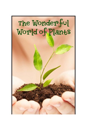 G3-4 19 The Wonderful World of Plants-High -- 绘本听读宝在线台词全文