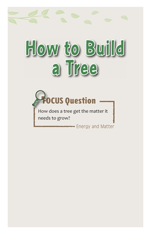 G5-6 24 How to Build a Tree-High -- 绘本听读宝在线台词全文