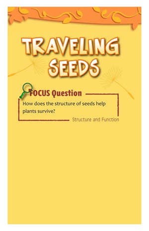 G3-4 20 Traveling Seeds-Low -- 绘本听读宝在线台词全文