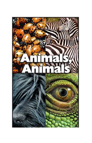 GK-2 2 Animals, Animals-Mid -- 绘本听读宝在线台词全文