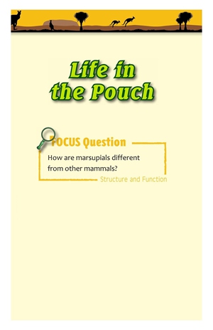 G3-4 39 Life in the Pouch-Mid -- 绘本听读宝在线台词全文