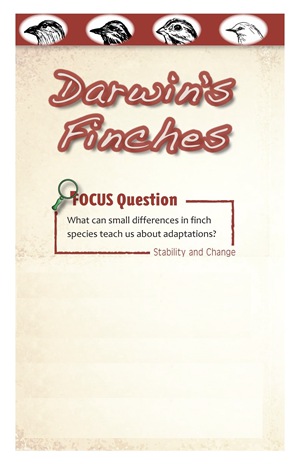 G5-6 13 Darwin's Finches-Mid -- 绘本听读宝在线台词全文