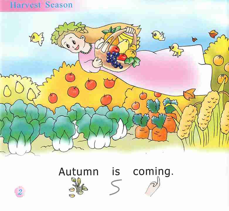 幼儿英语浸入式 20 Harvest Season -- 绘本听读宝在线台词全文