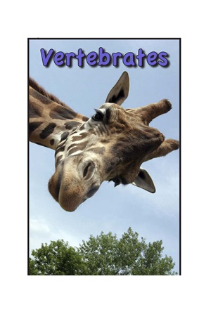 G3-4 2 Vertebrates-Mid -- 绘本听读宝在线台词全文