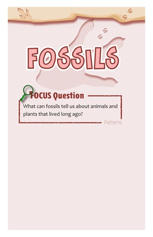 G3-4 74 Fossils-Mid -- 绘本听读宝在线台词全文