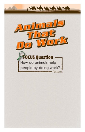 GK-2 64 Animals That Do Work-High -- 绘本听读宝在线台词全文