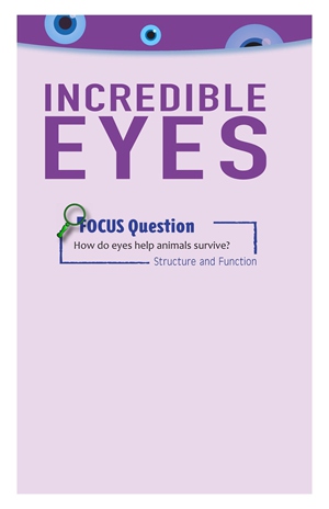G5-6 28 Incredible Eyes-Low -- 绘本听读宝在线台词全文