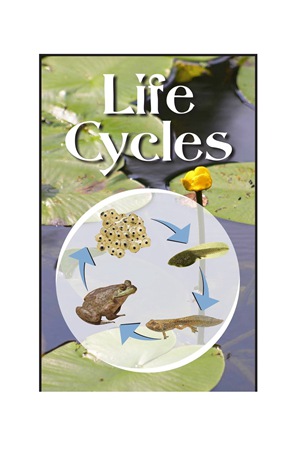 G3-4 35 Life Cycles-Mid -- 绘本听读宝在线台词全文