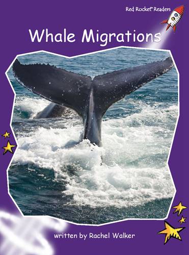 Fluency Level 3 Non-Fiction 24 Whale Migrations -- 绘本听读宝在线台词全文