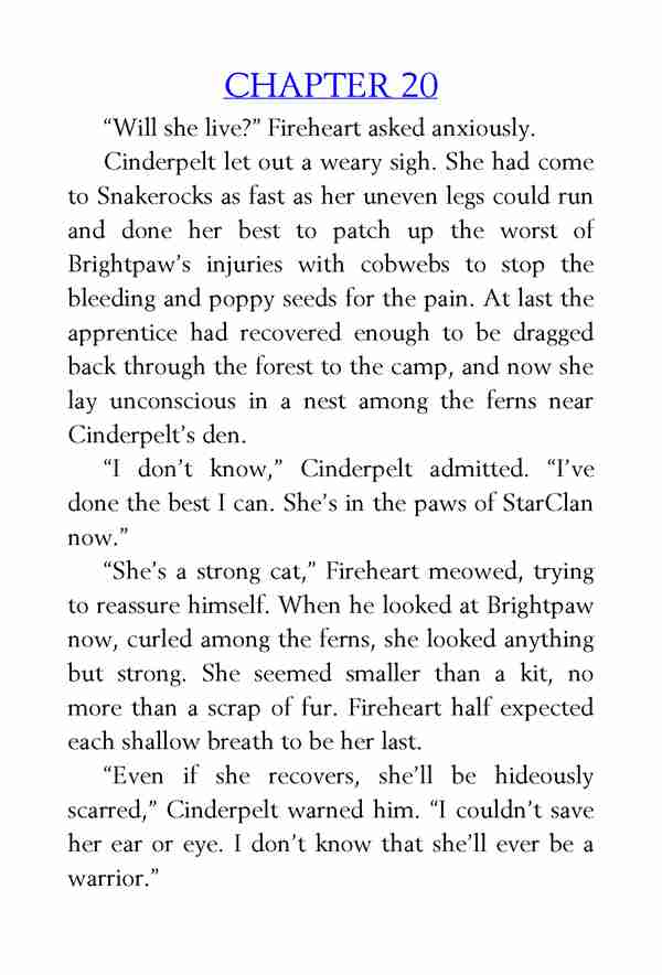 S1 A Dangerous Path Chapter 20 -- 绘本听读宝在线台词全文