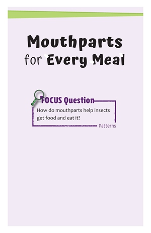 G3-4 16 Mouthparts for Every Meal-High -- 绘本听读宝在线台词全文