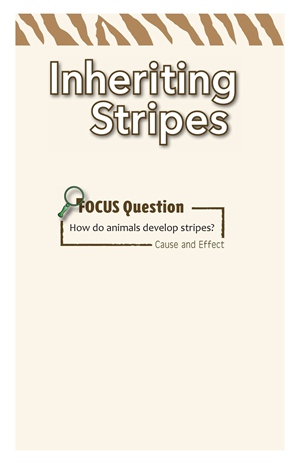G3-4 38 Inheriting Stripes-Mid -- 绘本听读宝在线台词全文