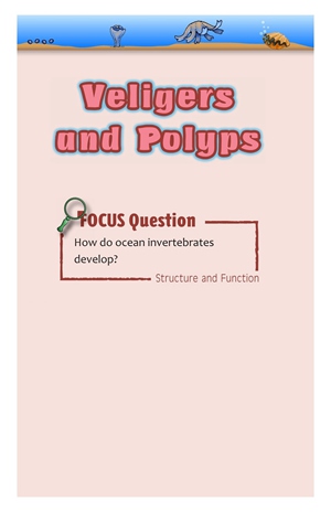 G3-4 43 Veligers and Polyps-High -- 绘本听读宝在线台词全文