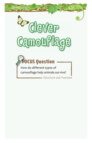 G3-4 48 Clever Camouflage-Mid -- 绘本听读宝在线台词全文