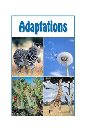 G5-6 11 Adaptations-High -- 绘本听读宝在线台词全文