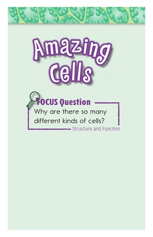 GK-2 16 Amazing Cells-High -- 绘本听读宝在线台词全文