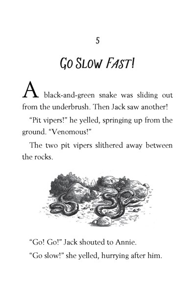 34 Late Lunch with Llamas 5 Go Slow Fast! -- 绘本听读宝在线台词全文