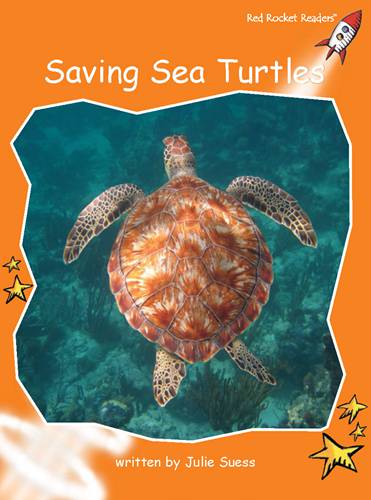 Fluency Level 1 Non-Fiction 24 Saving Sea Turtles -- 绘本听读宝在线台词全文