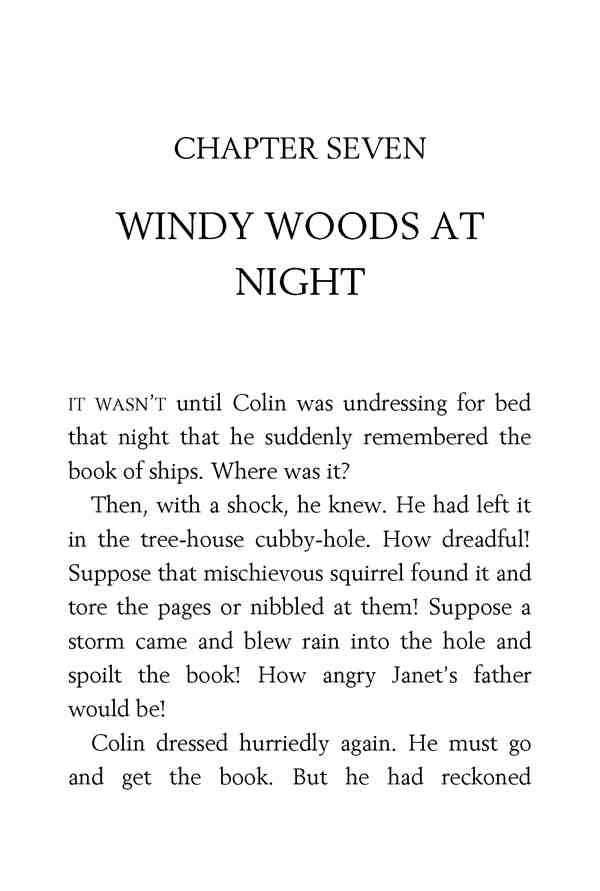 3 Well Done, Secret Seven 7 WINDY WOODS AT NIGHT -- 绘本听读宝在线台词全文