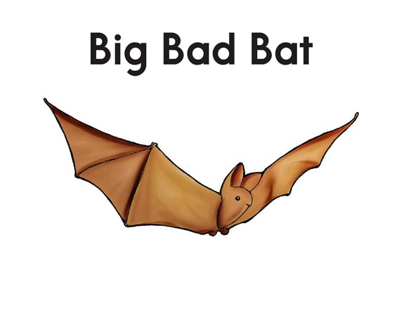 解码书 8 Big Bad Bat -- 绘本听读宝在线台词全文
