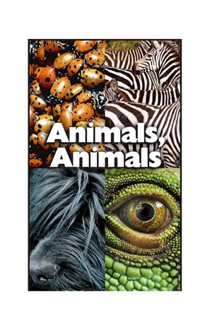 GK-2 3 Animals, Animals-High -- 绘本听读宝在线台词全文