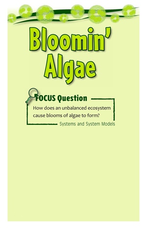 G3-4 47 Bloomin' Algae-Low -- 绘本听读宝在线台词全文