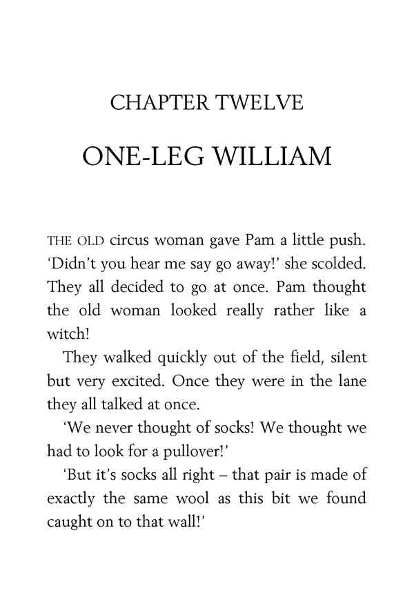 2 Secret Seven Adventure 12 ONE-LEG WILLIAM -- 绘本听读宝在线台词全文
