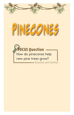 GK-2 23 Pinecones-Mid -- 绘本听读宝在线台词全文
