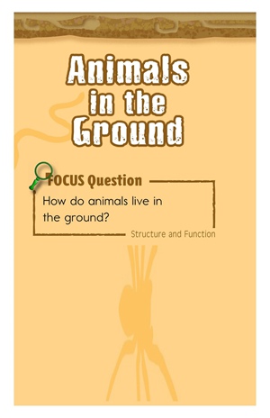 GK-2 6 Animals in the Ground-Mid -- 绘本听读宝在线台词全文