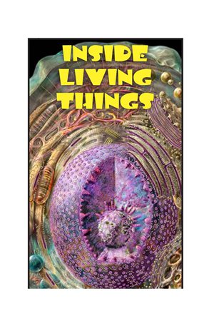 G5-6 26 Inside Living Things-Mid -- 绘本听读宝在线台词全文