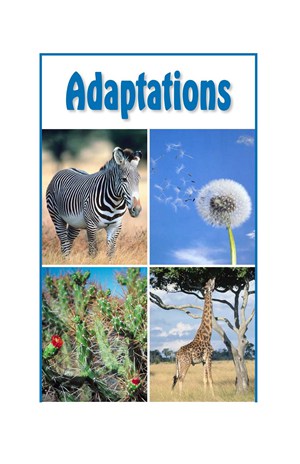 G5-6 10 Adaptations-Mid -- 绘本听读宝在线台词全文