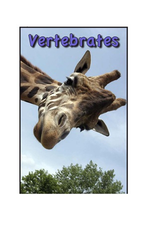 G3-4 1 Vertebrates-Low -- 绘本听读宝在线台词全文