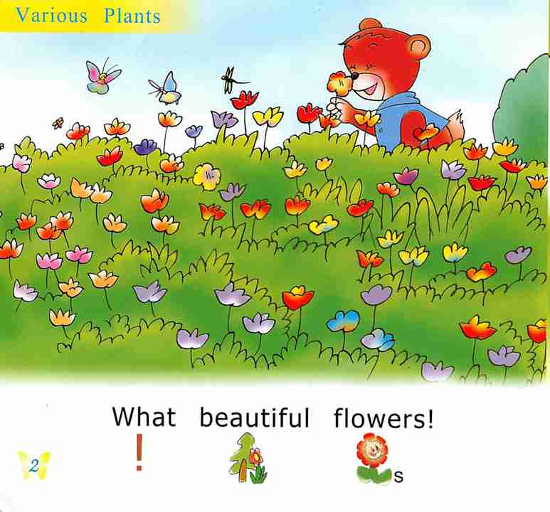 幼儿英语浸入式 26 Various Plants -- 绘本听读宝在线台词全文