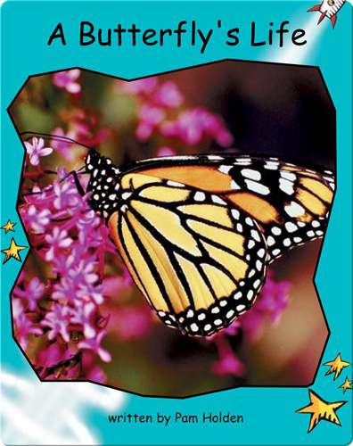 Fluency Level 2 Non-Fiction 1 A Butterfly's Life -- 绘本听读宝在线台词全文