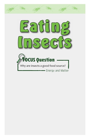 G5-6 21 Eating Insects-Mid -- 绘本听读宝在线台词全文