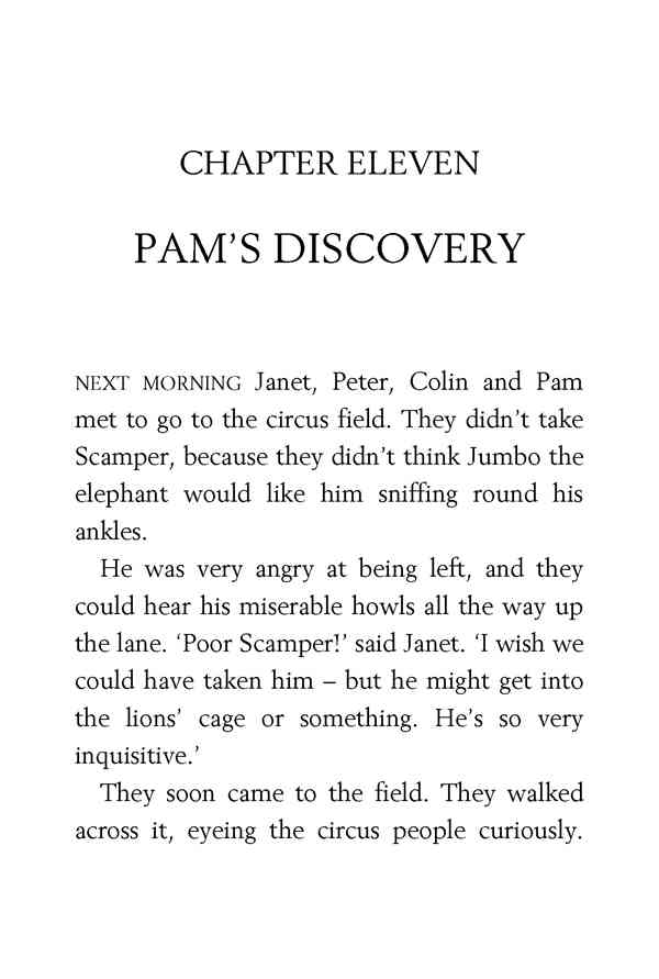 2 Secret Seven Adventure 11 PAM’S DISCOVERY -- 绘本听读宝在线台词全文