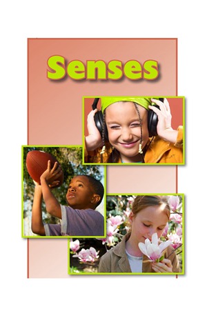 GK-2 26 Senses-Mid -- 绘本听读宝在线台词全文