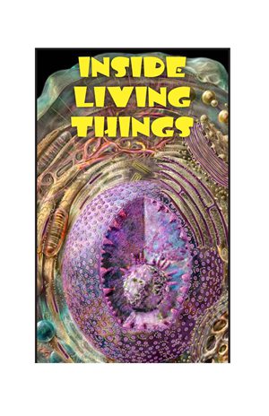 G5-6 27 Inside Living Things-High -- 绘本听读宝在线台词全文