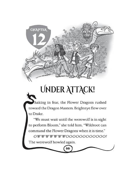 21 Bloom of the Flower Dragon 12. UNDER ATTACK! -- 绘本听读宝在线台词全文