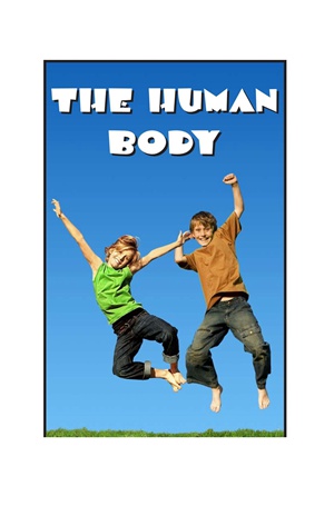 G3-4 26 The Human Body-Low -- 绘本听读宝在线台词全文