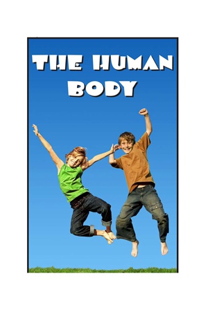 G3-4 28 The Human Body-High -- 绘本听读宝在线台词全文