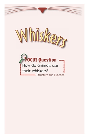 GK-2 32 Whiskers-Mid -- 绘本听读宝在线台词全文