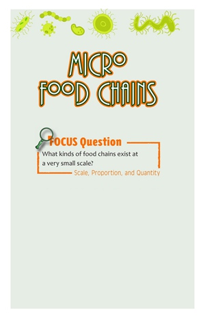 G5-6 8 Micro Food Chains-High -- 绘本听读宝在线台词全文